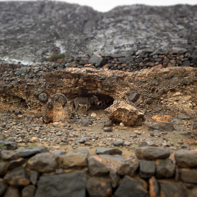 Impressionen aus dem Sultanat Oman. 