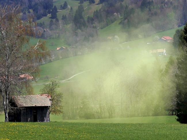 Das diesjährig frühe Ende des starken Pollenflugs ist wahrscheinlich auf die Trockenheit zurückzuführen. (Archivbild)