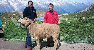 &laquo;Mister Gampel&raquo; Tom mit Besitzer Sven Kalbermatter (links) und Juror German Kalbermatter.