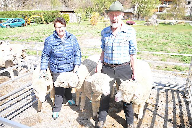 Zum 46. Mal dabei: Astrid und Joseph Imseng holten sich den Sieg im Nachzucht-Cup.