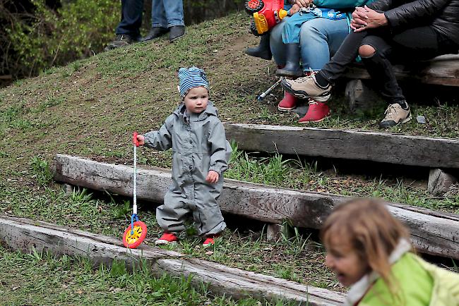 Impressionen vom ersten Stechfest 2017 im Goler im Oberwallis. 