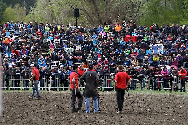 Impressionen vom ersten Stechfest 2017 im Goler im Oberwallis. 