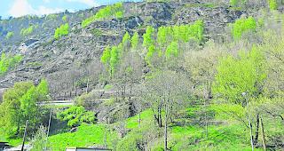 In den Schutzw&auml;ldern oberhalb der BLS-Strecke mussten viele B&auml;ume gef&auml;llt werden.