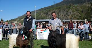 Raoul Zenklusen (links) mit dem Junior Mister und Fernando Steiner seinem Mister. 