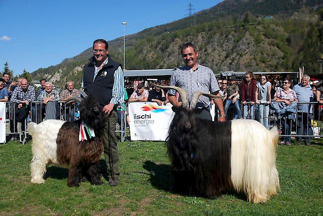 Raoul Zenklusen (links) mit dem Junior Mister und Fernando Steiner seinem Mister. 