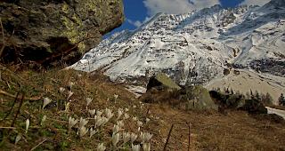 Der Fr&uuml;hling ist endlich da.