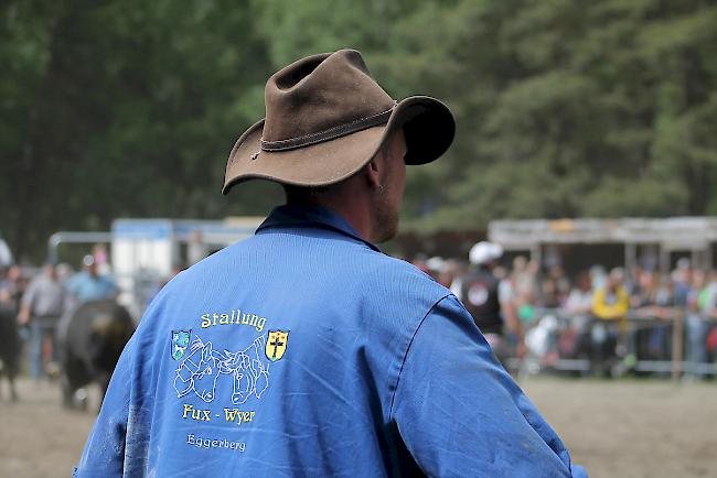 Impressionen vom diesjährigen Vifra-Ringkuhkampf in der Arena Goler.