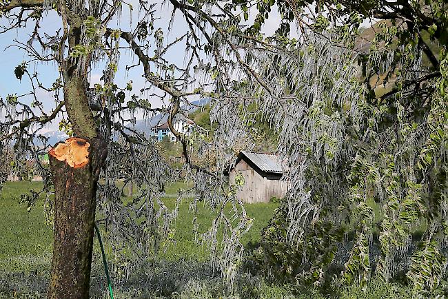 Malerischer Anblick zwischen Frühling und Winter