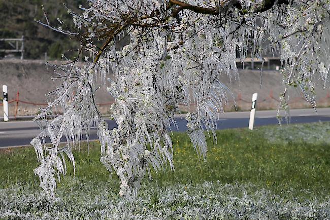 Dieser schützt vor Frost.