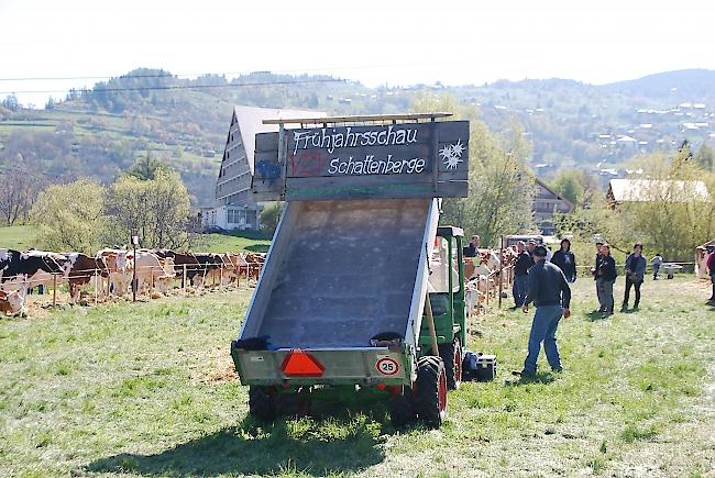 Impressionen der Frühjahrsschau in den Schattenbergen.