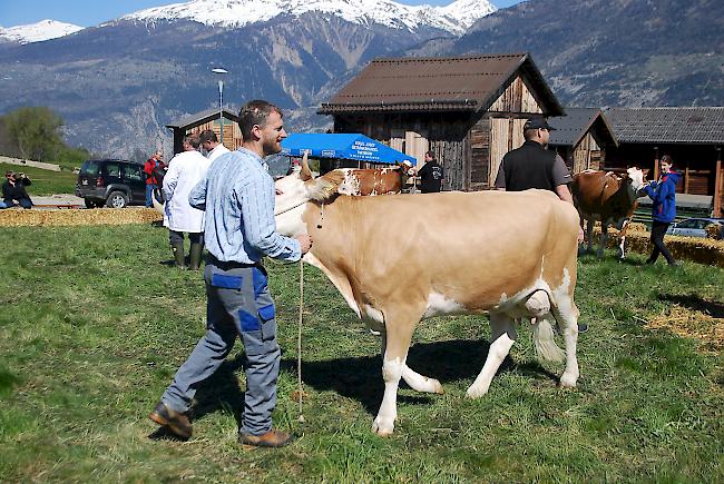 Impressionen der Frühjahrsschau in den Schattenbergen.