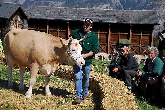 Impressionen der Frühjahrsschau in den Schattenbergen.