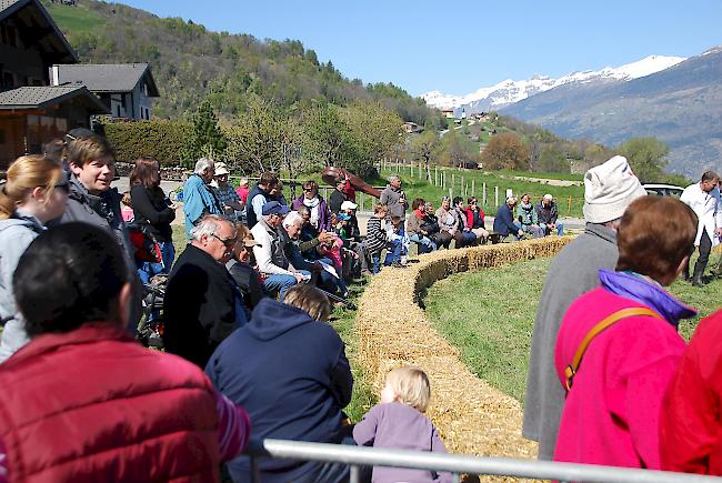 Impressionen der Frühjahrsschau in den Schattenbergen.