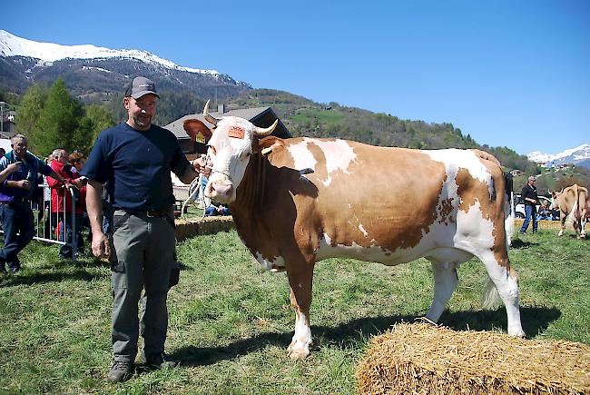 Impressionen der Frühjahrsschau in den Schattenbergen.