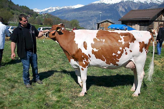 Impressionen der Frühjahrsschau in den Schattenbergen.