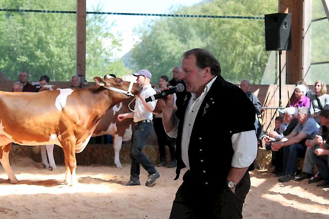 Juror Stefan Schumacher ist Experte für Tiere der Sektion Swiss Fleckvieh. 