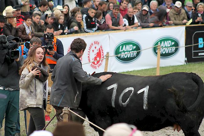 Die Besitzer von «Canaille» fiebern in der Arena mit.