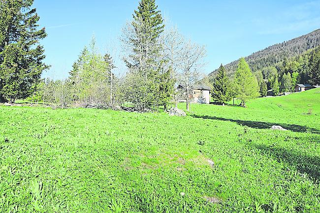 In diesem Gebiet oberhalb Mund hätte der Schuppen gebaut werden sollen.