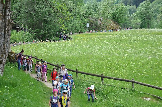 160 Kindergärtner machten sich am Dienstag auf, um ihr neues Klassenzimmer in freier Natur zu besichtigen.