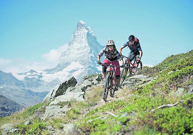 Pro Natura befürchtet, dass es zu vermehrten Konflikten zwischen Bikern und Wildtieren kommt.