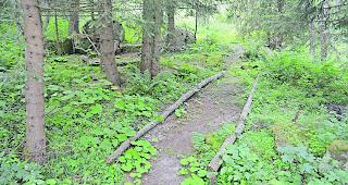 Der alte Weg l&auml;sst sich teils im Gel&auml;nde noch verfolgen.