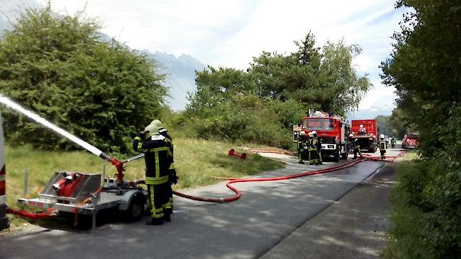 Rund 45 Feuerwehrleute standen im Einsatz. 