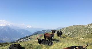 Schw&uuml;le L&uuml;fte und viel Sonne bis Ende Monat.