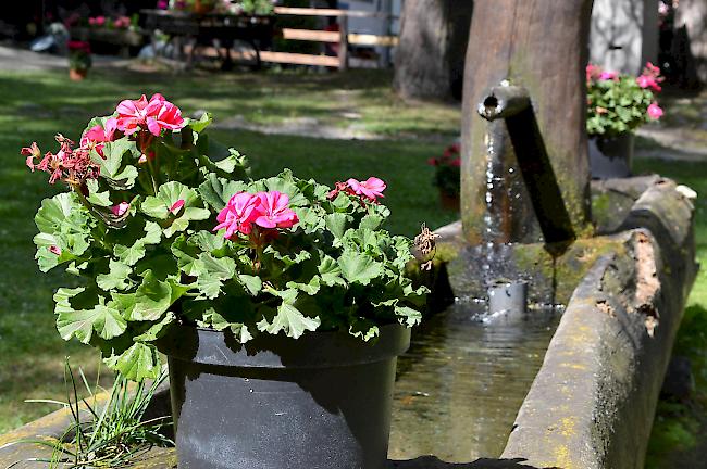 Viele Blumen zieren das Dorf.