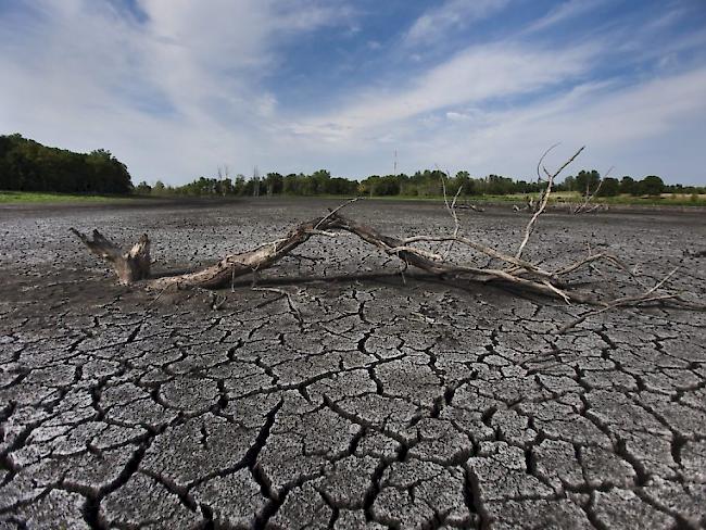 Die Erde könnte sich langfristig um etwa vier bis fünf Grad Celsius erwärmen. (Symbolbild)