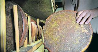 Uralt. Ein im Jahr 1875 produzierter K&auml;se ist der &auml;lteste von insgesamt 72 Laiben im Keller der Familie Zufferey in Grimentz. Trotz des hohen Alters sind sie noch gut beschaffen. 