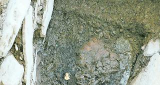 Reiche Lady. Im Grab dieser Keltenfrau fand sich wertvoller Goldschmuck. 