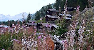 Ab Freitag h&auml;lt der Herbst auch wettertechnisch Einzug.