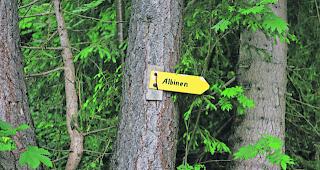 Nach Albinen ziehen, in Albinen bleiben. Die Gelder sollen im Idealfall Zuz&uuml;ger anlocken  &ndash;  aber mit jedem, der im Dorf bleibt, w&auml;re man schon zufrieden.  