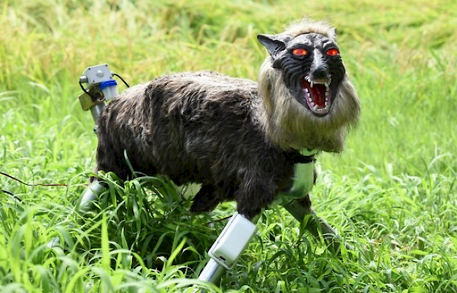 Der japanische Robo-Wolf