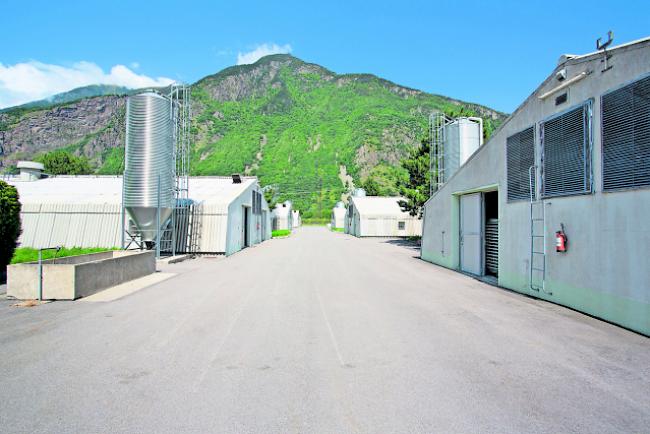 Abgelehnt. Die Steger Burger wollen keine Hühnerfarm. 