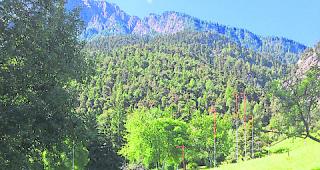 Vorsorgliche Planungszone. Hier im Gebiet genannt Fritag oberhalb des Holzji in Glis darf vorderhand nicht mehr gebaut werden.  