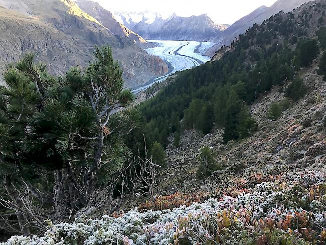 Vier Männer wollen in 15 Tagen das UNESCO-Welterbe durchwandern.