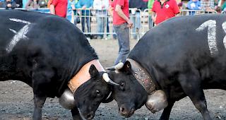 Schluss- und Startpunkt. Am Sonntag wird im Rarner Goler die erste Oberwalliser Ausscheidung f&uuml;r das Nationale Finale in Aproz 2018 ausgetragen (Archiv).