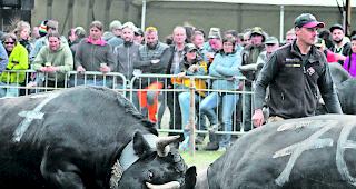 Schluss- und Startpunkt. Am Sonntag kommt es im Rarner Goler zur ersten Oberwalliser Ausscheidung f&uuml;r das Nationale Finale in Aproz 2018.  