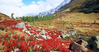 Trockenes Wallis. In Sitten etwa fiel nur rund ein Viertel der im September &uuml;blichen Niederschlagsmenge.