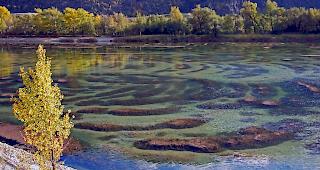 Herbstliche &laquo;Volkigilla&raquo;. Gibt es bald auch Korallenriffe im Wallis?