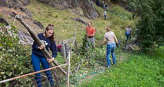Die Sch&uuml;ler des Gymnasiums M&uuml;nchenstein im Landschaftspflegeeinsatz