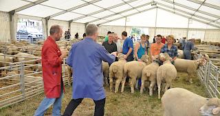 Impressionen des 12. Interkantonalen in Gampel.