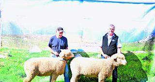 Die Jungen. Norbert Tenisch (links) mit Jung-Miss &laquo;Maia&raquo; und German Gruber mit Jung-Mister &laquo;Roger&raquo;.  