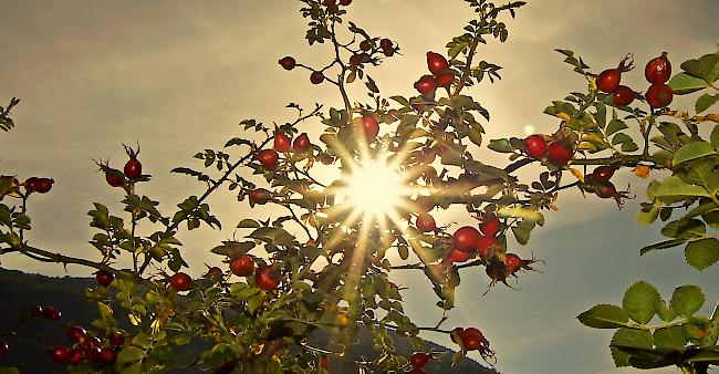 Tagsüber gibt es heute fünf bis acht Sonnenstunden.