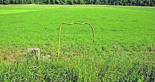 Fundst&uuml;ck. Was Maximilien Urfer an Spuren b&auml;uerlicher Arbeitsweise findet, verarbeitet er zu Installationen.  