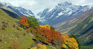 Noch bis Samstag k&ouml;nnen wir das freundliche Herbstwetter geniessen.