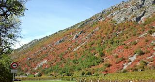 Samstag bietet optimales Herbstwetter.