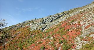 In den kommenden Tagen wird es im Wallis sonnig und warm. Im Bild: Herbst in Getwing.