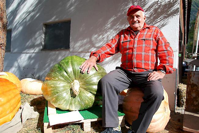 Pius Stocker brachte den schwersten Kürbis nach Ried-Brig. 